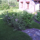 Zahrada Osek