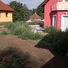 Zahrada Staov